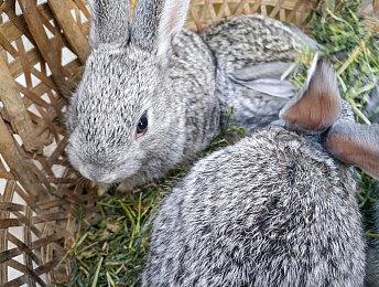 索尼在欧洲推出PS+二档＆三档会员7天免费试用 仅适用于非会员